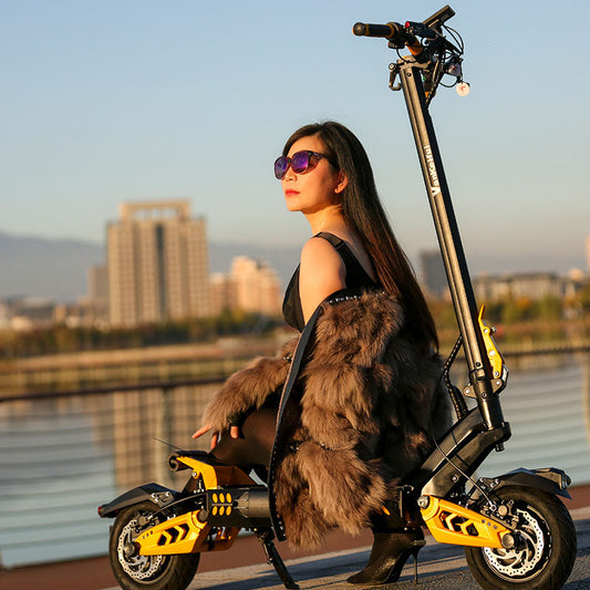 Dual drive 60V 28AHVankeHui, a premium two-wheeled lithium battery-powered electric scooter with dual drive, 1600W and 60V